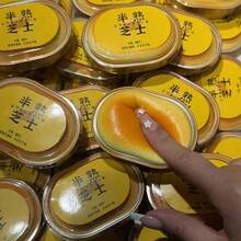 1個橢圓形起司蛋糕慢回彈捏捏樂，原創柔軟滋潤TPR材質，逼真設計，紓壓解壓，辦公桌禮物 - 彩色 - 查看 8
