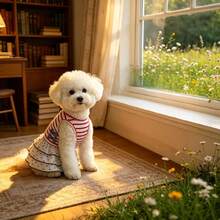 1 pieza Vestido elástico a rayas simple para perro y gato, falda de mascota con estampado de lunares lindo, adecuado para gato/perro, atuendo de cachorro sin mangas transpirable de verano, ropa dulce para perro, adecuado para Bichón, Teddy y otras razas pequeñas de perros y gatos - Rojo - Ver 12