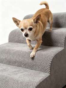 Pet Stairs To Protect Dog Knee Joints From Jumping Injuries, Pet Ramp For Senior Dogs With Arthritis Unable To Jump On Sofa, Pet Steps For Injured Puppies After Leg Surgery, Climbing Aid Stairs For Short-Legged Dogs Like Corgis, Non-Slip Pet Steps For Cats And Dogs To Prevent Falling From Sofa, Joint-Protecting Pet Climbing Ladder Suitable For Elderly Small Pets - Dark Grey - View 3