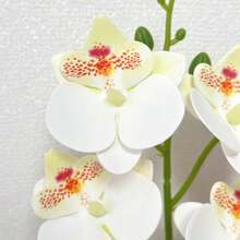 1pc Artificial Phalaenopsis Orchid Potted Plant, 11 Inch, 5 Exquisite Orchid Flowers, Suitable For Living Room, Entryway Or Desktop Decoration, Indoor/Outdoor Home Decor - Multicolor - View 11