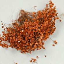 50/100pcs Artificial Baby's Breath DIY Materials, Hair Accessories, Wreaths, Resin Art, Home Office Party Decor - Perfect For Weddings, Hair Accessories, DIY Wreaths, Resin Art, Party Table Vases, Gardens, Offices, Home Decor, Bohemian Natural Style - Caramel Orange - View 5