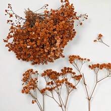 50/100pcs Artificial Baby's Breath DIY Materials, Hair Accessories, Wreaths, Resin Art, Home Office Party Decor - Perfect For Weddings, Hair Accessories, DIY Wreaths, Resin Art, Party Table Vases, Gardens, Offices, Home Decor, Bohemian Natural Style - Caramel Orange - View 9