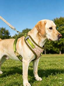 2pcs Blue & Green Avocado Pattern Dog Harness And Leash Set, Small & Medium Dog Chest Harness, Dog Leash, Pet Leash Set, Suitable For Daily Outings, Outdoor Activities, Camping, Walking, Photography, Perfect Dog Gift - Multicolor - View 12