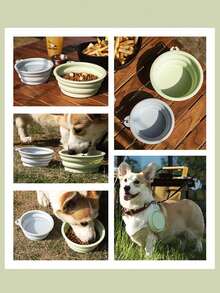 2pcs 350ml Collapsible Pet Bowls, Suitable For Travel, Camping, Pet Walking, Foldable Design, Universal For Cats And Dogs, With Clip, Can Also Be Used As Water Cup Or Camping Bowl, Suitable For Dog Walking And Various Outdoor Activities, All Season - Multicolor - View 6