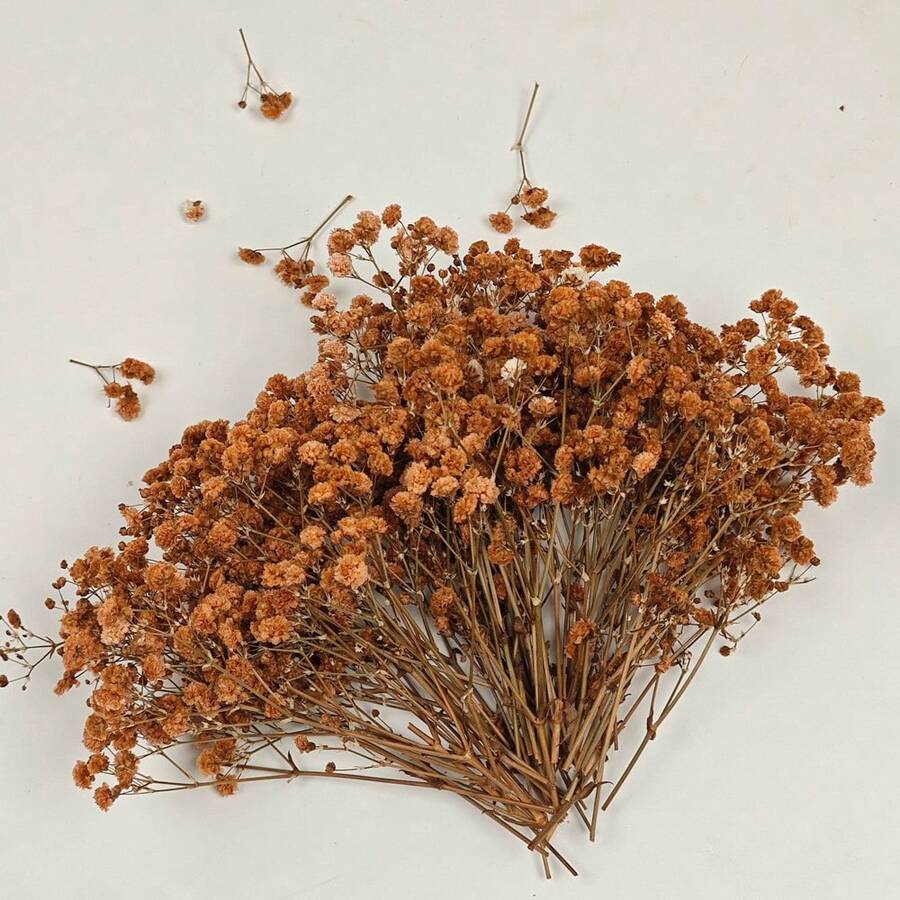 50/100pcs Artificial Baby's Breath DIY Materials, Hair Accessories, Wreaths, Resin Art, Home Office Party Decor - Perfect For Weddings, Hair Accessories, DIY Wreaths, Resin Art, Party Table Vases, Gardens, Offices, Home Decor, Bohemian Natural Style