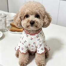Dog And Cat Clothes, Spring Autumn Summer, Small Dog, Anti-Shedding, Cute Two-Legged Pet Clothes For Small Dogs And Cats - Red - View 9