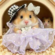 Hamster Lace Dress, Small Size, Fits 10-15cm, Universal For Small Pets - Multicolor - View 5