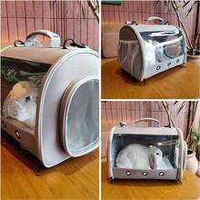 Transparent TPU Portable Travel Backpack – 1 Pet Carrier, Suitable For Hamsters, Rabbits, Lizards And Small Animals - Grey - View 12
