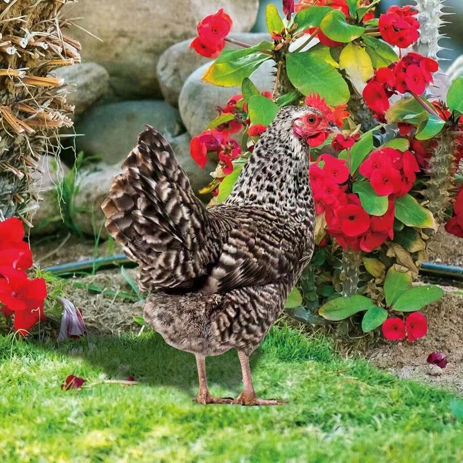 Cross-Border Bestseller Acrylic Hen Outdoor Garden Ground Stake Double-Sided Pattern Decorative Sign - A - View 1