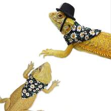 Lizard Hamster Clothes Hat Bib Reptile Outdoor Walking Costume Small Pet - Deep Blue Stars - View 2