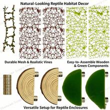 Jumping Spider Habitat Decor Set, Wooden Terrarium Background, Climbing Net, Rope Bridge, Jumping Platform, Spider Terrarium Accessories Kit - Jumping Spider Habitat - View 4