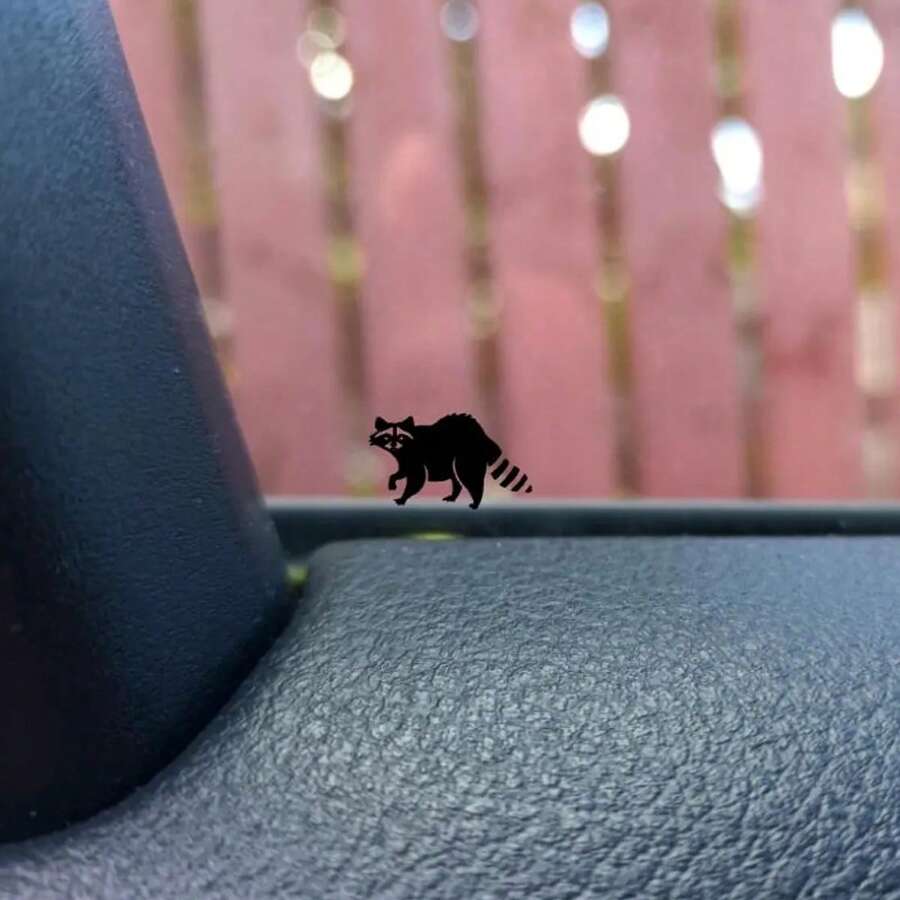 迷你浣熊隱藏貼紙 - 汽車後視鏡貼紙、復活節彩蛋、SUV貼紙、男孩貼紙、女孩貼紙、汽車裝飾貼紙