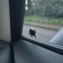 迷你浣熊隱藏貼紙 - 汽車後視鏡貼紙、復活節彩蛋、SUV貼紙、男孩貼紙、女孩貼紙、汽車裝飾貼紙 - A - 查看 5