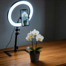 Borriig 10-Inch Dimmable Ring Light & Low Angle Shooting Tripod With Phone Holder, Suitable For Live Streaming And Photography - 10-inch Ring Light + Overhead Shooting Stand - View 3