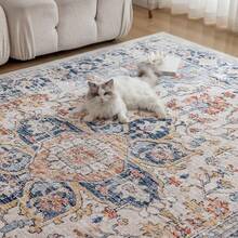 Tappeti - Beige Vintage - Visualizzare 10
