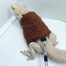 Lizard Leash Reptile Harness Chameleon Squirrel Leash Clothes Small Pet Supplies - Chest Strap + Traction Rope - View 5