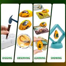 Children's STEM Amber Digging Kit, Artificial Insect Amber Digging Tool Set, Dinosaur/Crystal Archaeology Digging Kit, STEM Science Toys, Hands-On Practice For Kids, Can Dig Up Insect Specimens, Fun Educational Activity, Suitable For Children 3 Years And Older Insect Fossil Digging Toy, Educational Science Experiment Kit, Birthday Gift For Boys And Girls, Holiday Gift - 彩色 - 查看 6