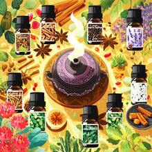 HWLINK 10ml 廣藿香精油，植物基精油，居家香氛，天然清新，節日禮物，藤條擴香，適用於加濕器/擴香器 - Patchouli - 查看 7