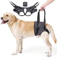 Dog Harness With Leg Support, Adjustable Lift Harness, Hip Dysplasia Brace & ACL Tear Aid For Elderly Dogs - Alternative To Dog - View 9