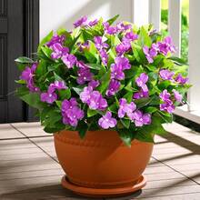 1/3pcs Vibrant Artificial Impatiens Flower Bouquet, Realistic Faux Flowers, Suitable For Outdoor Garden, Indoor Planter And Balcony Decoration, 15.7 Inches Tall, Low Maintenance, Durable And Bendable Stems, Artificial Flowers - Purple - View 6
