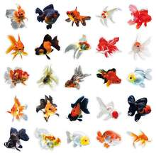 50 piezas Pegatinas transparentes de pez dorado, decoración de animal de pez pequeño realista, material de pegatinas para acuario de peces PET y álbum de recortes - Multicolor - Ver 5