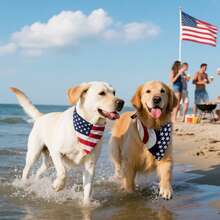 2 Packs, Triangle Reversible American Flag Pet Patriotic Scarf For Boy And Girl, Premium Durable Fabric, Medium And Large Dogs (Large) - Red and White - View 4