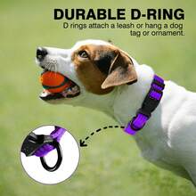 Adjustable Nylon Dog Collar For Small Dogs, Pet Neck Collar, Dog Leash Collar - Purple - View 4