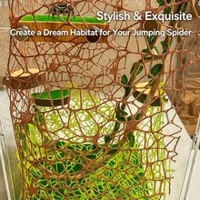 Jumping Spider Habitat Decor Set, Wooden Terrarium Background, Climbing Net, Rope Bridge, Jumping Platform, Spider Terrarium Accessories Kit - Jumping Spider Habitat - View 6