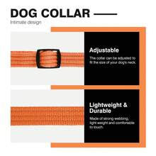 小型犬可調節尼龍寵物項圈 狗牽繩項圈 - 橘色 - 查看 6