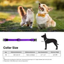Adjustable Nylon Dog Collar For Small Dogs, Pet Neck Collar, Dog Leash Collar - Purple - View 2
