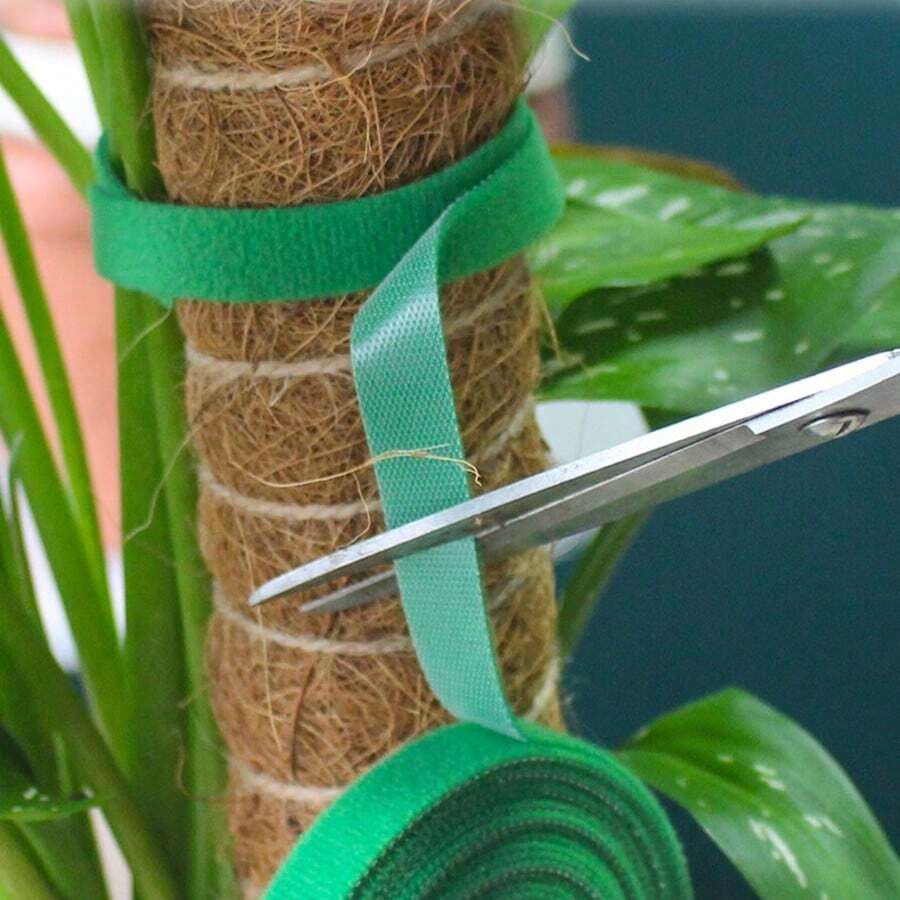 pdva 1/3/5m, 1pc Adjustable Reusable Garden Plant Ties, Thickened Design, Strong Support, Suitable For Indoor/Outdoor Gardening, Can Be Used To Fix Tomato Vines And Other Plants, Adhesive Plant Fixer, Can Be Used As Creative Gifts, Home Supplies And Gardening Tools.