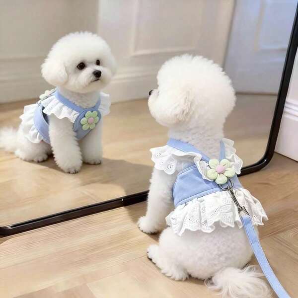 1pc Cute Floral Lace Pet Harness Dress, Multiple Sizes Available, Includes Leash, Ruffle Princess Vest Set, Breathable Dog Walking Harness