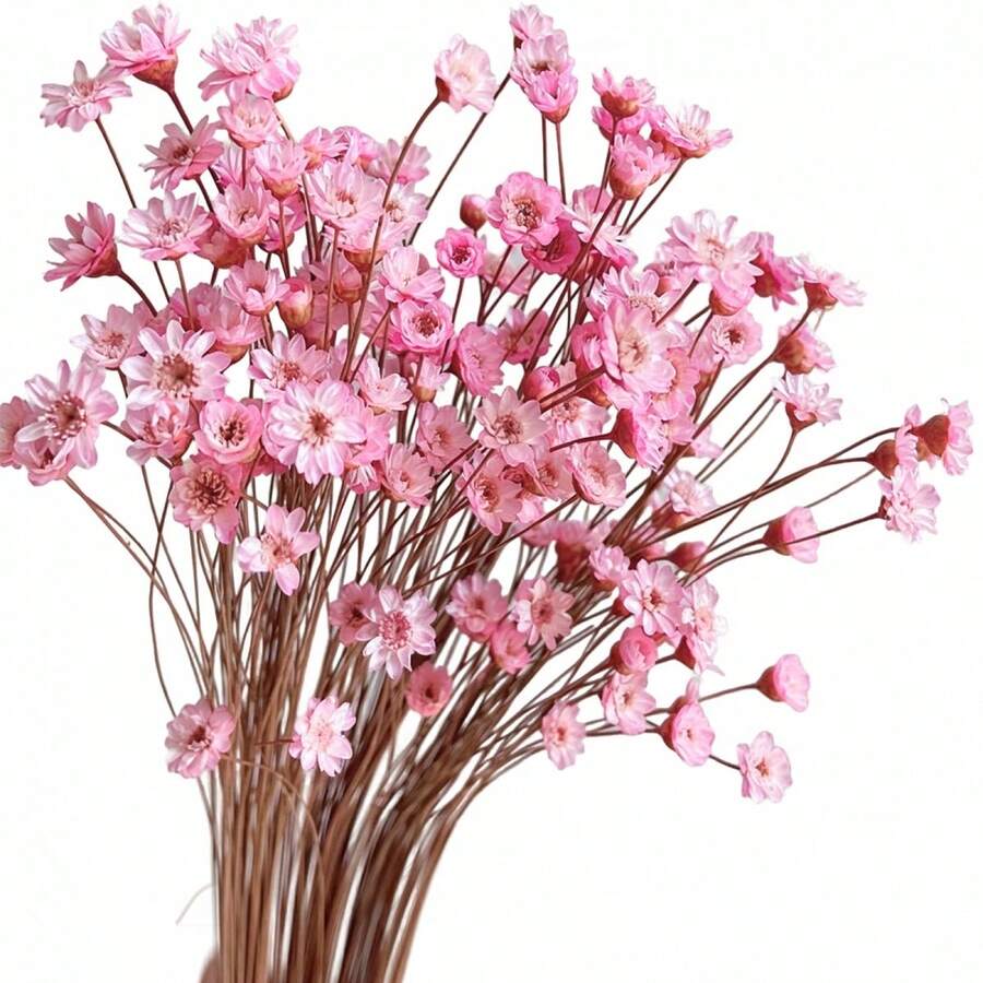 Mini Dried Daisy Bouquet Creative Natural Flowers With Stem For Vase Crafts DIY Decor - Pink - View 1