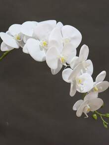 1/3pcs Artificial Large Phalaenopsis Orchid Branches, Home Art Decoration, Wedding Decor, Holiday Party Supplies, Home Decor, Room Decor, Random Shipping - White - View 2