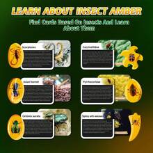 Children's STEM Amber Digging Kit, Artificial Insect Amber Digging Tool Set, Dinosaur/Crystal Archaeology Digging Kit, STEM Science Toys, Hands-On Practice For Kids, Can Dig Up Insect Specimens, Fun Educational Activity, Suitable For Children 3 Years And Older Insect Fossil Digging Toy, Educational Science Experiment Kit, Birthday Gift For Boys And Girls, Holiday Gift - 彩色 - 查看 8