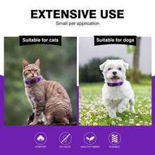 Adjustable Nylon Dog Collar For Small Dogs, Pet Neck Collar, Dog Leash Collar - Purple - View 7