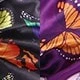 Black Background With Colorful Butterflies / Purple Background With Butterflies