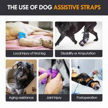 Dog Harness With Leg Support, Adjustable Lift Harness, Hip Dysplasia Brace & ACL Tear Aid For Elderly Dogs - Alternative To Dog - View 5