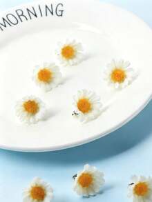 10/2pcs Daisy Flower Invisible Hair Clips,Small White Floral Hair Rings For Braids,Wedding Bridal Hair Accessories,Summer Beach Vacation Decor - White - View 5