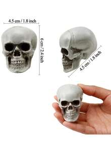 1 pieza Calavera de resina, modelo de calavera en miniatura para decoración del hogar, estatua de calavera de Halloween, modelo de calavera humana para escritorio - Ver 3