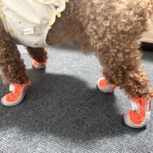 幼犬鞋 軟底 透氣網布 全季節 旋轉扣款式 - 橘色 - 查看 7