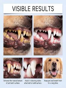 Pet Oral Care Spray, Best-Selling, Gentle Care For Pet Oral Freshness And Comfort, Fresh Breath, Daily Care, Oral Spray, 0 Distance For Cat And Dog Lovers, Natural Ingredients For Teeth Cleaning And Odor Prevention, Gentle Formula, No Rinsing Required, For Licking, Convenient And Quick, Say Goodbye To Brushing Difficulties - Violet Purple - View 9