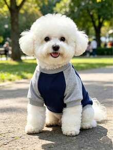 Internet Celebrity Dog Raglan Baseball Shirt, Bichon Teddy Small-Medium ...