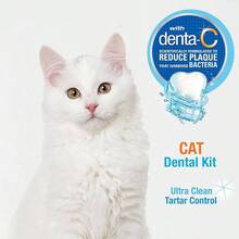 Kit Dental Advanced Oral Care Gatos - inicial - Ver 4