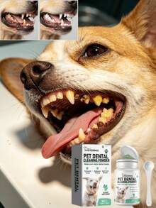 Poudre de nettoyage dentaire pour chiens, formule douce pour l'haleine fraîche et les soins de santé bucco-dentaire. Cette poudre de nettoyage bucco-dentaire est spécialement conçue pour les chiens avec une formule de base douce. Mélangez-la simplement dans la nourriture de votre animal de compagnie pour l'alimentation quotidienne. Une utilisation régulière peut adoucir la plaque et les taches, soulager la mauvaise haleine et apaiser les conditions des gencives. - Voir 2