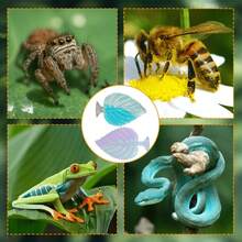2PCS Jumping Spider Gradient Leaf Shaped Habitat, Hanging Installation Decor Set Pet Spider Hideout, Jumping Spider Fence Ornament, Reptile Hideout, Small Reptile Hiding Spot, Perfect Habitat Decoration For Insects, Used For Daily Resting, Hiding, Climbing, Exploring And Playing, Suitable For Aquarium Or Terrarium Decoration - View 4