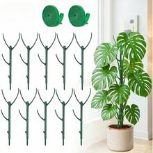 Monstera Moss Pole With Ties, Stackable Support Pole To Increase Height For Different Growth Stages, Special Design, Secure And Easy To Use, For Plants - Multicolor - View 1