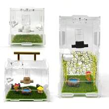 Magnetic Hanging Spider Feeding And Watering Station, Insect Water Dispenser, Jumping Spider Supplies, Jumping Spider Water Dispenser, Suitable For Jumping Spiders, Tarantulas, Mantises - Style A - View 7