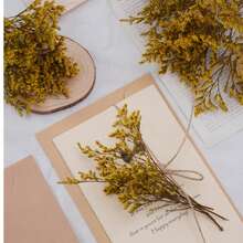 Yellow Love Grass