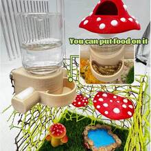 Magnetic Hanging Spider Feeding And Watering Station, Insect Water Dispenser, Jumping Spider Supplies, Jumping Spider Water Dispenser, Suitable For Jumping Spiders, Tarantulas, Mantises - Style A - View 5